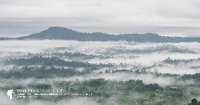 ทุ่งแสลงหลวง-ทุ่งหญ้าในทะเลหมอก-ทริปกระต่ายแดงแสลงหลวง-เขาค้อ-จ.เพชรบูรณ์