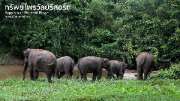 ที่พักท่ามกลางธรรมชาติ-พิษณุโลก-ทรัพย์ไพรวัลย์รีสอร์ท-พร้อมกิจกรรมมากมาย