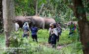 ที่พักท่ามกลางธรรมชาติ-พิษณุโลก-ทรัพย์ไพรวัลย์รีสอร์ท-พร้อมกิจกรรมมากมาย