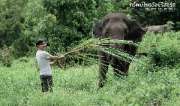 ที่พักท่ามกลางธรรมชาติ-พิษณุโลก-ทรัพย์ไพรวัลย์รีสอร์ท-พร้อมกิจกรรมมากมาย