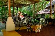วนธารา-รีสอร์ท-จ.พิษณุโลก