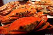 Koh-Kood-Island-Resort-เกาะกูด-ไอร์แลนด์-รีสอร์ท