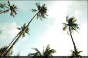 Koh-Kood-Island-Resort-เกาะกูด-ไอร์แลนด์-รีสอร์ท