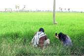ทริปบ้านกร่าง-พะเนินทุ่ง-อช.แก่งกระจาน