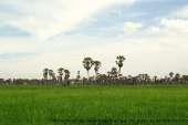 ทริปบ้านกร่าง-พะเนินทุ่ง-อช.แก่งกระจาน