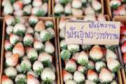 ทริปเที่ยวอ่างขางก่อนปีใหม่
