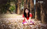 ชมพูพันธุ์ทิพย์-ที่หมอชิต-ดอกไม้สวยไม่ต้องไปไกล