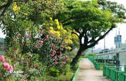 ออกถ่าย-เหลืองปรีดียาธร-กัน