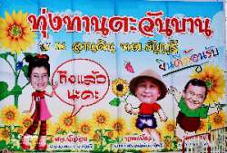 แวะเวียนทุ่งดอกทานตะวัน-ณ.-เทศบาลตำบลธัญบุรี-จังหวัดปทุมธานี