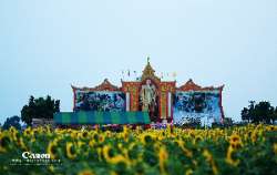 แวะเวียนทุ่งดอกทานตะวัน-ณ.-เทศบาลตำบลธัญบุรี-จังหวัดปทุมธานี