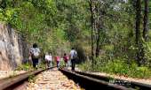 นั่งรถไฟเที่ยวเดอร์สวนไทรโยค-แอดเวนเจอร์ปาร์ค-มุ่งสู่-โค้งมรณะ-หรือน้ำตกไทรโยคน้อย