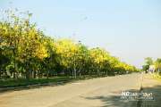 พิพิธภัณฑ์วิทยาศาสตร์-คลอง-5-ธัญบุรี
