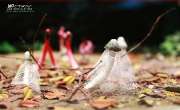 พิพิธภัณฑ์วิทยาศาสตร์-คลอง-5-ธัญบุรี