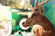 พิพิธภัณฑ์วิทยาศาสตร์-คลอง-5-ธัญบุรี