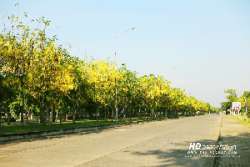 ถนนดอกคูณ-พิพิธภัณฑ์วิทยาศาสตร์-คลอง-5-ธัญบุรี