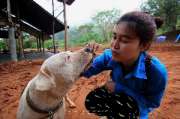ร่วมสร้างกุศลเทพื้นโรงครัวที่-สำนักสงฆ์แม่น้าน้อย-เทปูน-แม่น้ำน้อย