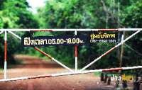 พาเที่ยว-อุทยานแห่งชาติปางสีดา-ช่วงที่ไม่มีผีเสื้อ