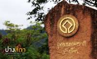 พาเที่ยว-อุทยานแห่งชาติปางสีดา-ช่วงที่ไม่มีผีเสื้อ