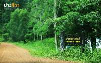 พาเที่ยว-อุทยานแห่งชาติปางสีดา-ช่วงที่ไม่มีผีเสื้อ