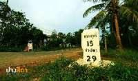 พาเที่ยว-อุทยานแห่งชาติปางสีดา-ช่วงที่ไม่มีผีเสื้อ