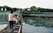 รีวิวร้าน-ขอบฟ้าลาตะวัน-ร้านอาหารริมทะเลไกล้กรุงเทพ