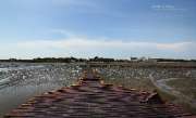 รีวิวร้าน-ขอบฟ้าลาตะวัน-ร้านอาหารริมทะเลไกล้กรุงเทพ