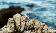 อุทยานแห่งชาติเขาแหลมหญ้า-หมู่เกาะเสม็ด-จังหวัดระยอง