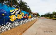 สถานีแสดงพันธุ์สัตว์น้ำ-จังหวัดระยอง