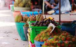 ตลาดกลางผลไม้เพื่อการเกษตรตะพง-จังหวัดระยอง