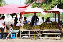 ตลาดกลางผลไม้เพื่อการเกษตรตะพง-จังหวัดระยอง