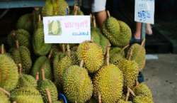 ตลาดกลางผลไม้เพื่อการเกษตรตะพง-จังหวัดระยอง