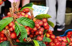ตลาดกลางผลไม้เพื่อการเกษตรตะพง-จังหวัดระยอง