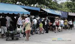 ตลาดกลางผลไม้เพื่อการเกษตรตะพง-จังหวัดระยอง
