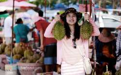 ตลาดกลางผลไม้เพื่อการเกษตรตะพง-จังหวัดระยอง