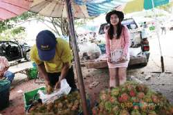 ตลาดกลางผลไม้เพื่อการเกษตรตะพง-จังหวัดระยอง