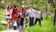พาเที่ยว-ทุ่งดอกกระเจียว-ณ.ป่าหินงาม-อ.เทพสถิต-จ.ชัยภูมิ