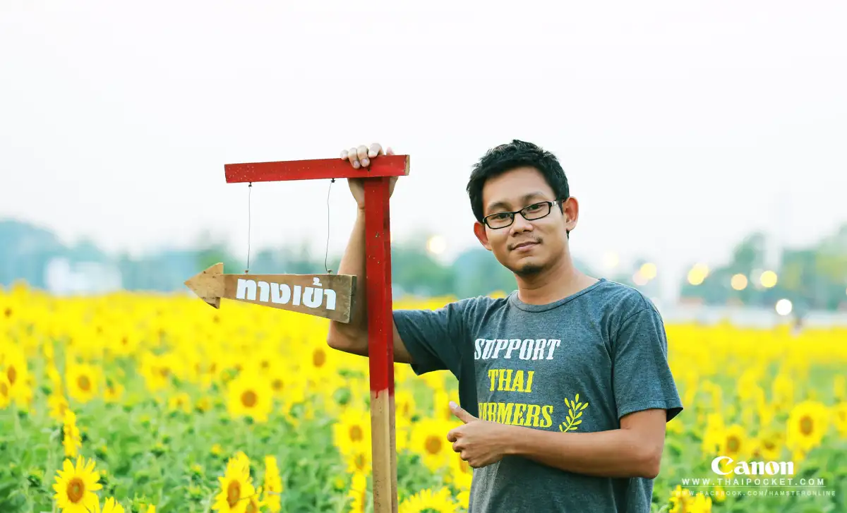 แวะเวียนทุ่งดอกทานตะวัน ณ. เทศบาลตำบลธัญบุรี จังหวัดปทุมธานี