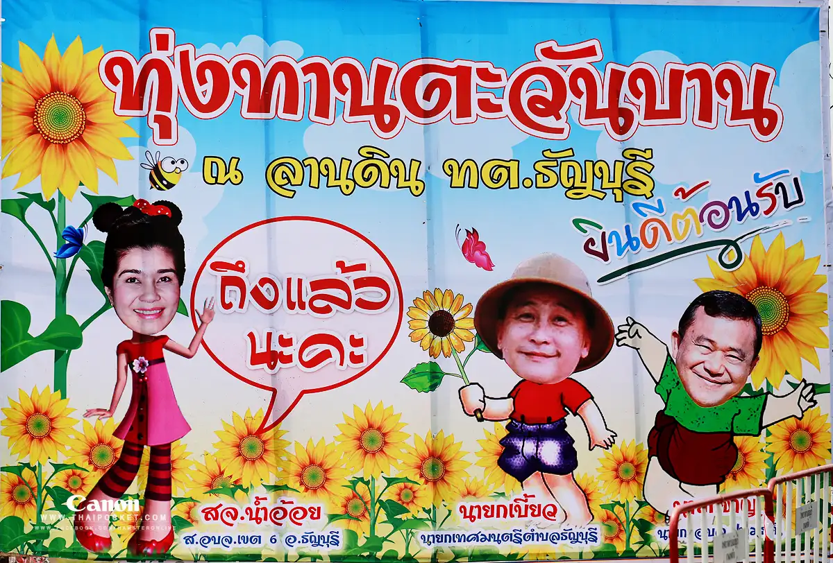 แวะเวียนทุ่งดอกทานตะวัน ณ. เทศบาลตำบลธัญบุรี จังหวัดปทุมธานี