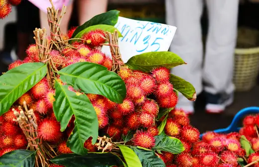 ตลาดกลางผลไม้เพื่อการเกษตรตะพง จังหวัดระยอง