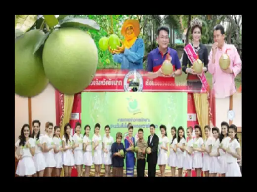 ข่าวที่ถูกเก็บไว้ ทั้งหมด 2554 2555 2556 2557 2558 » มกราคม 2558 » กุมภาพันธ์ 2558 » มีนาคม 2558 » พฤษภาคม 2558 » มิถุนายน 2558 » กรกฎาคม 2558 » สิงหาคม 2558 อลังการ...หนึ่งเดียวในเมืองไทย งาน "วันส้มโอขาวแตงกวา" จังหวัดชัยนาท