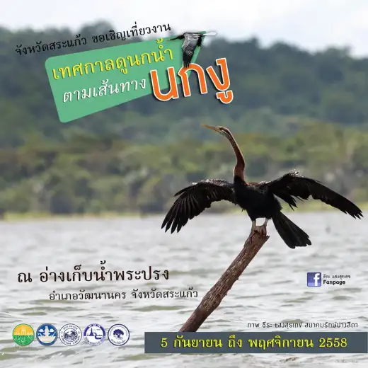 เทศกาลดูนกน้ำ ตามเส้นทางนกอ้ายงั่ว(นกงู) จังหวัดสระแก้ว