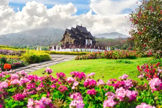 เทศกาลชมสวน Flora Festival 2015 @อุทยานหลวงราชพฤกษ์ 
