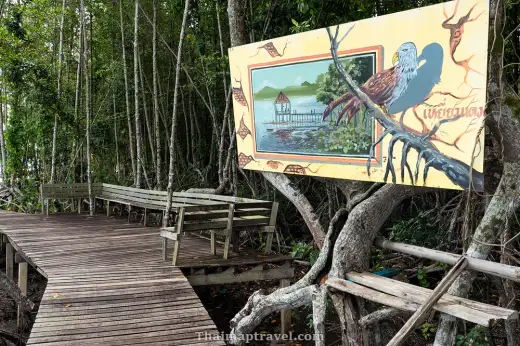 ศูนย์การท่องเที่ยวเชิงธรรมชาติ หาดทรายดำและป่าชายเลน ตราด