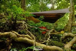 เปล Hennessy Hammock หลงเต้นท์