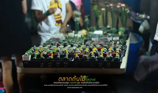กรุงเทพมหานคร