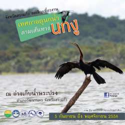 เทศกาลดูนกน้ำ-ตามเส้นทางนกอ้ายงั่วนกงู-จังหวัดสระแก้ว