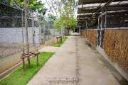โครงการเกษตรอินทรีย์สนามบินสุโขทัย-จ.สุโขทัย