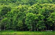 ลุยป่าพาไป-น้ำตกโกรกอีดก-ความสวยใกล้ๆกทม-จ.สระบุรี