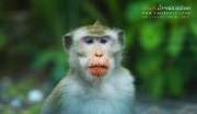 ลุยป่าพาไป-น้ำตกโกรกอีดก-ความสวยใกล้ๆกทม-จ.สระบุรี