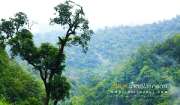 ลุยป่าพาไป-น้ำตกโกรกอีดก-ความสวยใกล้ๆกทม-จ.สระบุรี